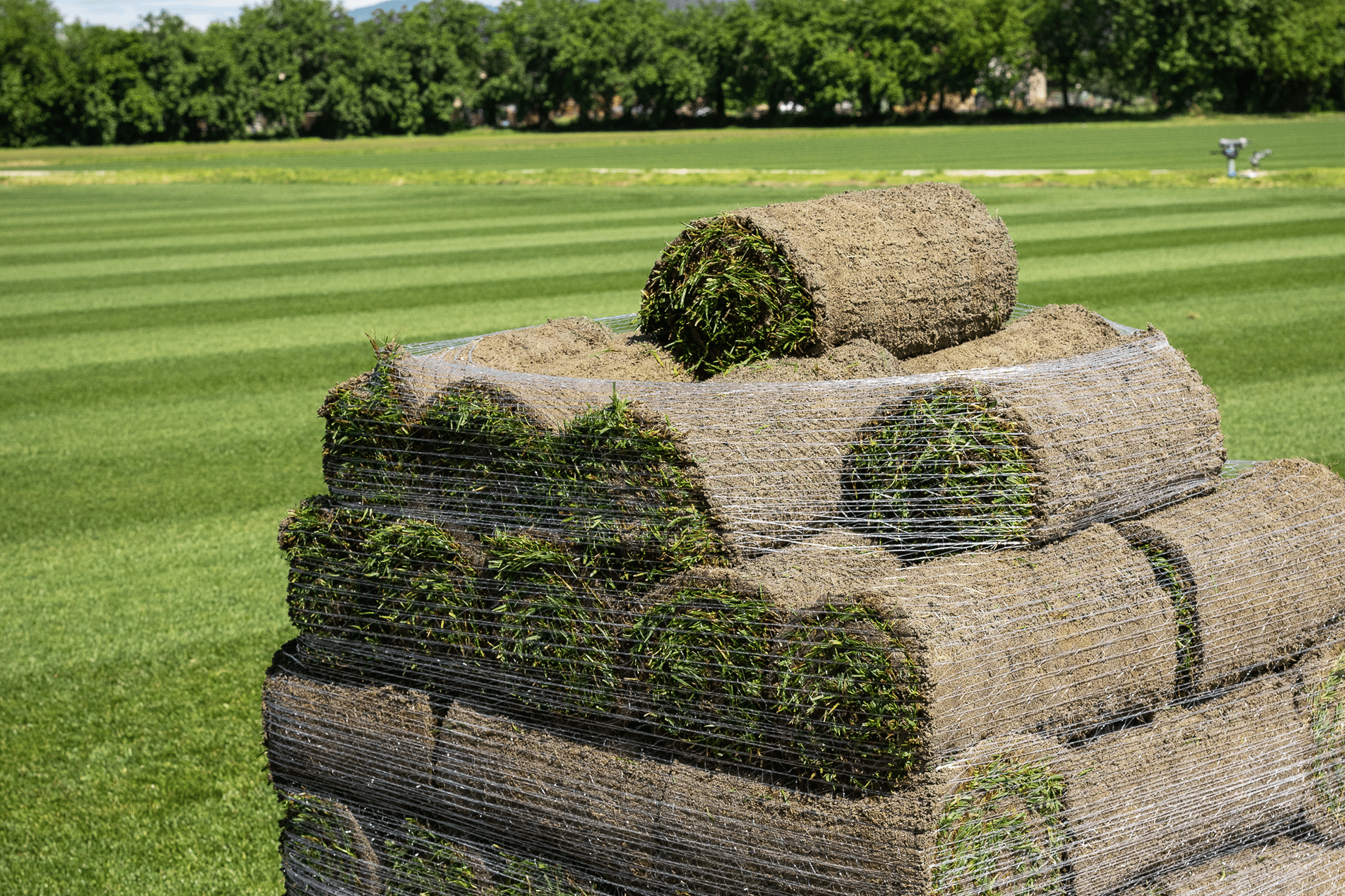 Anteprima del servizio Garden Paradello: cura di giardini e aree verdi