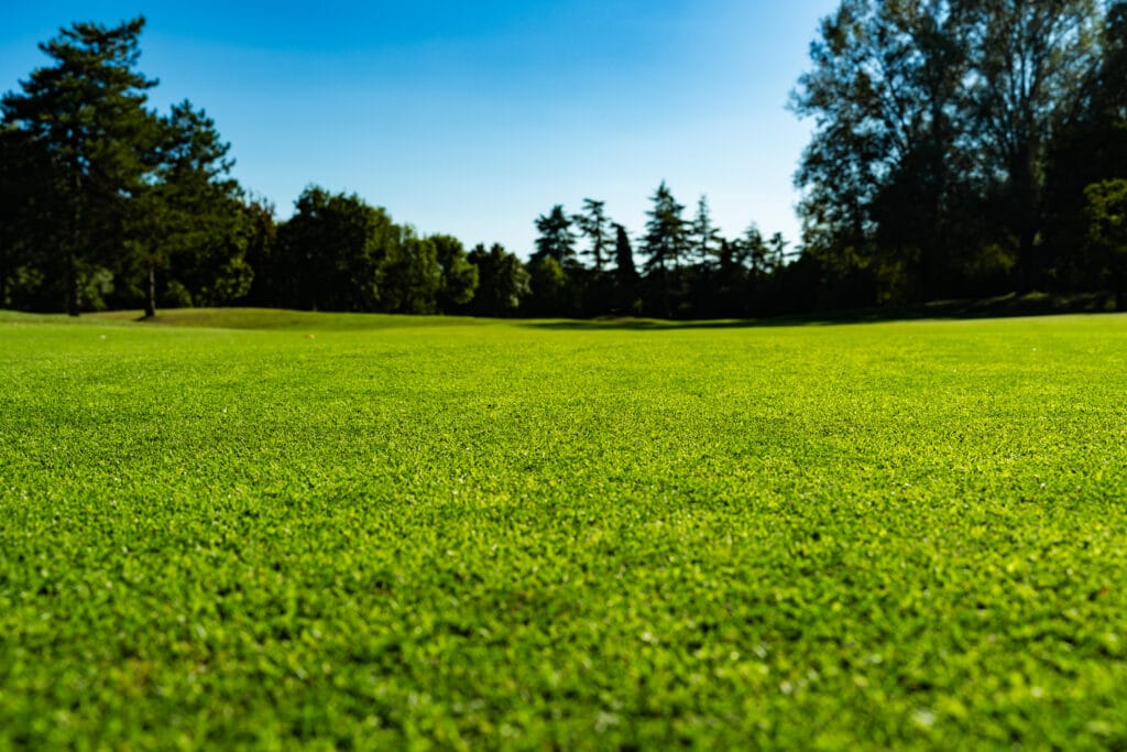 A natural grass sports field undergoing irrigation optimization