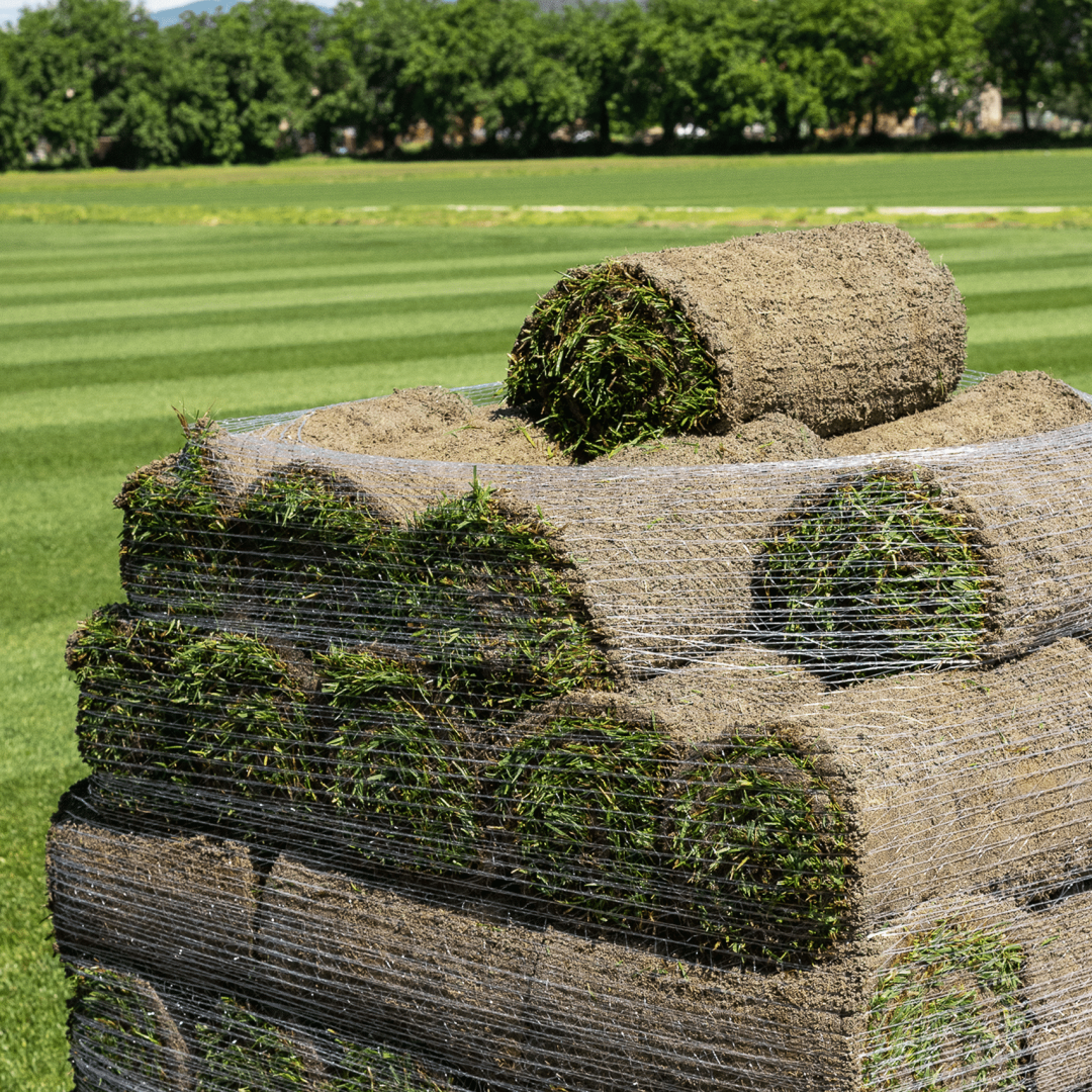Anteprima del servizio Garden Paradello: cura di giardini e aree verdi