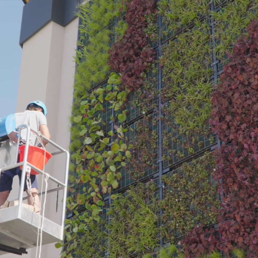 Anteprima del servizio Verde Tecnologico Paradello: soluzioni green per impianti sportivi