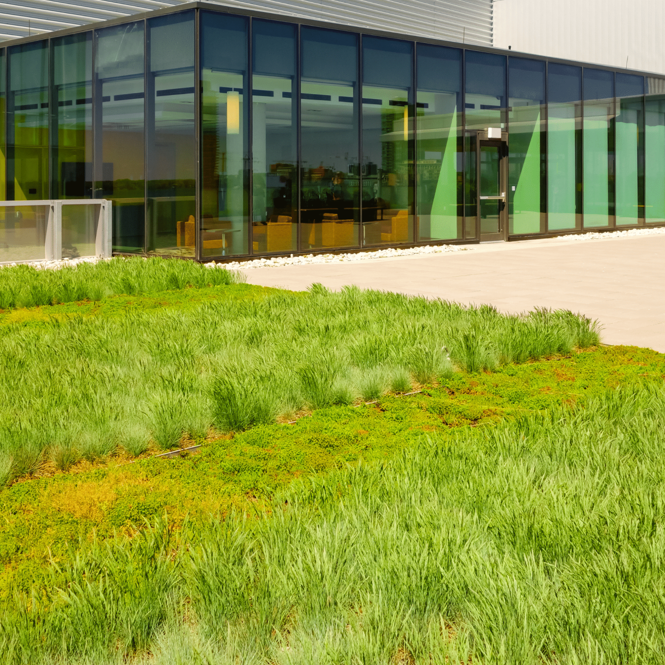 Fase 1 del servizio Verde Tecnologico Paradello