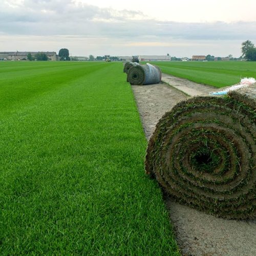 Rulli di rizollatura sul terreno del Juventus Training Center, lavori Paradello