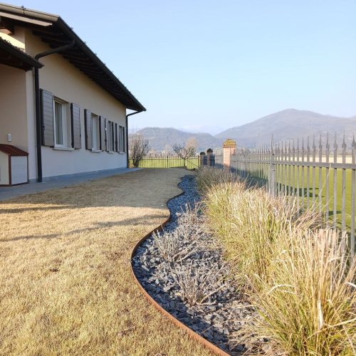 Varietà di tappeto erboso Innovation Zoysia Grass coltivata da Paradello