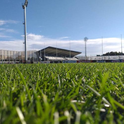 Terreno di gioco del Juventus Training Center curato da Paradello