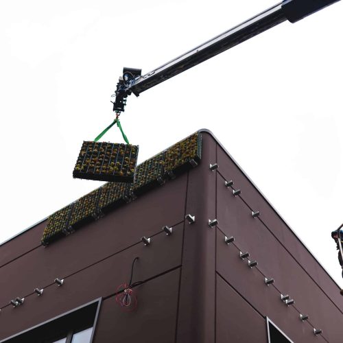 Progetto Terre Verticali di Paradello: installazione a copertura vegetale verticale