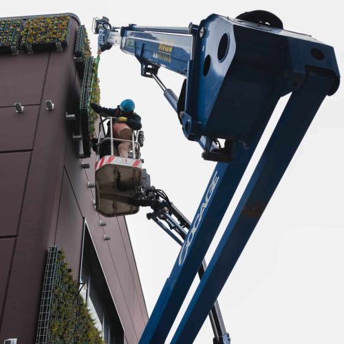 Dettaglio tecnico del progetto Terre Verticali Paradello