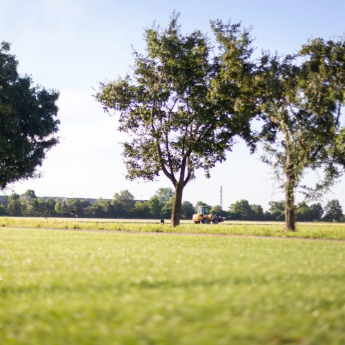 Campo del vivaio Paradello durante le operazioni di coltivazione del tappeto erboso