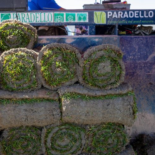 Rotoli di tappeto erboso in zolle pronti per la consegna, produzione Paradello