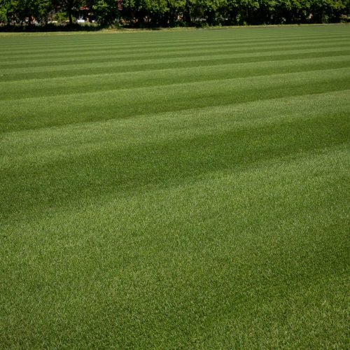 Campo in erba naturale rifinito a righe, produzione Paradello