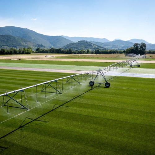 Ripresa aerea drone del prato Hatko hybridgrass Paradello