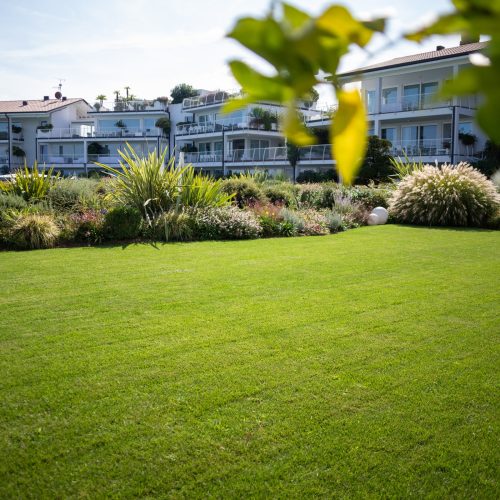 Prato curato da Paradello in un giardino privato sul Lago di Garda
