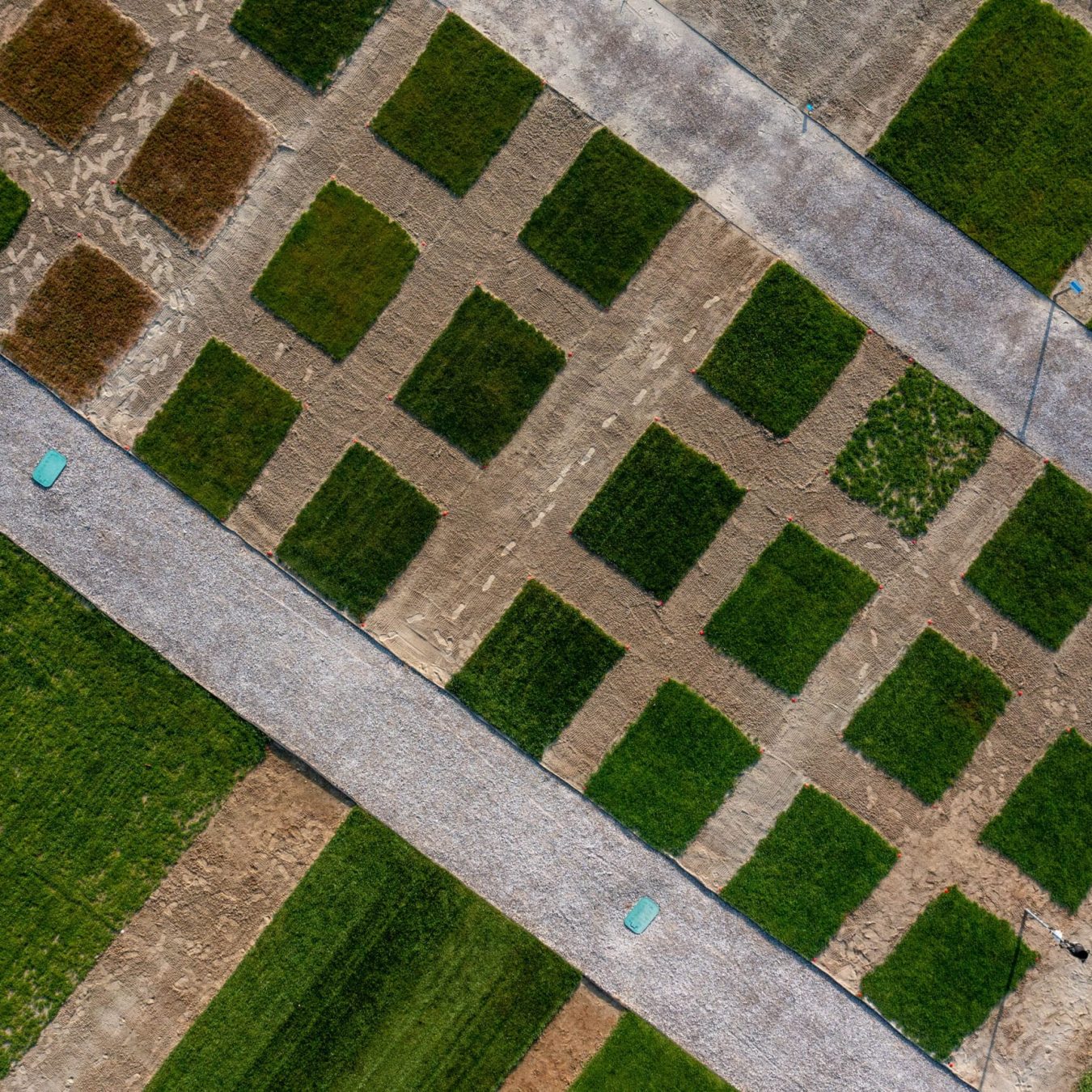 Centro Ricerca Paradello: attività di ricerca sul tappeto erboso