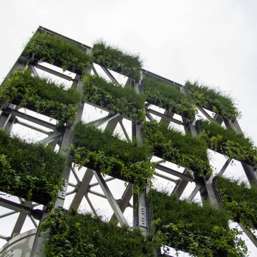 Vista del progetto Terre Verticali Paradello: copertura vegetale su superficie inclinata