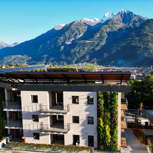 Parete verde del progetto Terre Verticali realizzato da Paradello