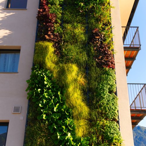 Installazione verde verticale del progetto Terre Verticali Paradello