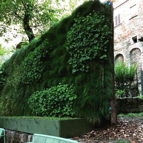 Fase storica del progetto Terre Verticali Paradello: installazione a copertura vegetale verticale